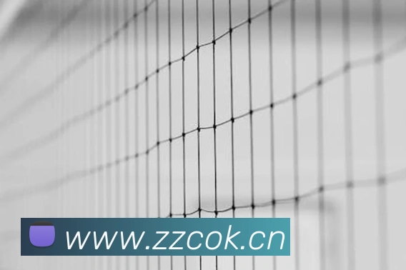 乐鱼在线登录首页服务体系